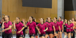 50. heti utánpótlás panoráma