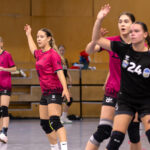 41. heti utánpótlás panoráma