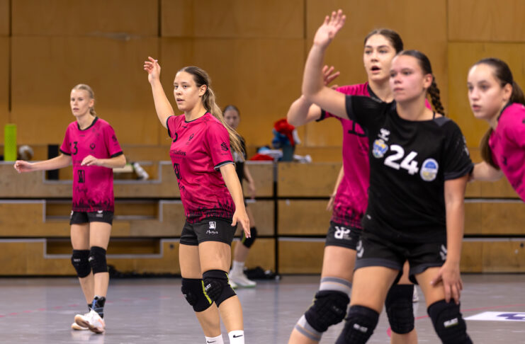 7. heti utánpótlás panoráma